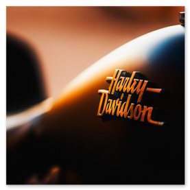 Partnerlogo Microsoft